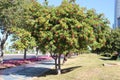 cycling and jogging track landscape flowers