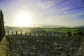 Beautiful view of cypress tress and green fields and meadows at sunrise in Tuscany