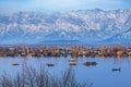 A beautiful view of Dal Lake in winter, Srinagar, Kashmir, India Royalty Free Stock Photo