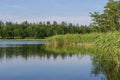 Beautiful view of dark blue lake water with water lilies and green sedge on sunset. Royalty Free Stock Photo