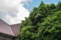 Beautiful view of dark tiled roof on tops of green trees and blue sky background. Beautiful backgrounds Royalty Free Stock Photo