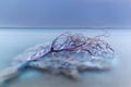 Beautiful view of the Dead Sea Royalty Free Stock Photo