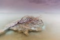 Beautiful view of the Dead Sea Royalty Free Stock Photo