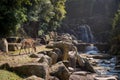 Beautiful view of a deer by the waterfall and the stones captured in Miyajima Island, Japan Royalty Free Stock Photo