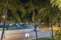 Beautiful view of deserted street at night. Empy road view through green palm trees. Key West. Florida.