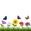 The beautiful view with the different flower and some butterfly