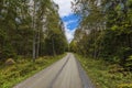 Beautiful view of dirt road in forest on clear day against backdrop of blue sky with white clouds. Royalty Free Stock Photo