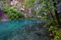 Beautiful view of Divje jezero or Wild lake near Idrija