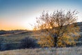 Beautiful view of Don steppe in autumn lit by setting sun Royalty Free Stock Photo