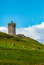 Beautiful view of the Doonagore castle tower on a hill with cattle grazing Royalty Free Stock Photo