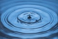 Beautiful view of drops making circles on blue water surface isolated on background Royalty Free Stock Photo