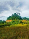 A beautiful view of dry grass against the background of hills