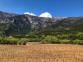 Beautiful view of the dry vineyards and high mountains Royalty Free Stock Photo