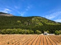 Beautiful view of the dry vineyards and high mountains Royalty Free Stock Photo