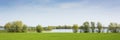 Beautiful view on a dutch landscape near the river Waal and Zaltbommel, water, green grass, meadows and trees on a sunny day