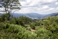 Beautiful view of the El Nicho valley, an area belonging to the