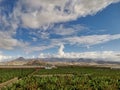 Beautiful view of el teide Vulcan in Tenerife with banana green plantation - farmer and natural lifestyle in environment concept