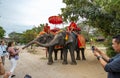 Elephants walking on the streets of Ayutthaya, Thailand.