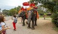 Elephants walking on the streets of Ayutthaya, Thailand.