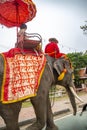 Elephants walking on the streets of Ayutthaya, Thailand.