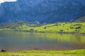 Beautiful view of Ercina Lake in Covadonga Lakes, Asturias, Spain. Green grassland with reflections in the water and mountains at Royalty Free Stock Photo