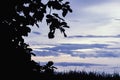 A beautiful view of eveining tree silhouette. twilight sky and clouds blue Royalty Free Stock Photo