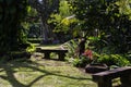 A beautiful view of exotic garden with old benches in Chateau de Labourdonnais, a colonial palace, Mauritius