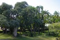 A beautiful view of exotic garden with old white bench in Chateau de Labourdonnais, a colonial palace, Mauritius