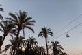 Beautiful view on exotic palm trees on bright lanterns and funiculars in the sky at sunset. Southern spain. Europe.