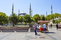 Beautiful view of the exterior of the Blue Mosque, Sultanahmet Camii, in Istanbul from Saltanahmet Park Royalty Free Stock Photo