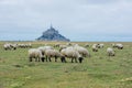 Beautiful view of famous historic Le Mont Saint-Michel tidal island with sheep grazing on fields of fresh green grass on Royalty Free Stock Photo