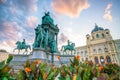 Beautiful view of famous Naturhistorisches Museum Natural History Museum at sunset in Vienna