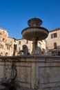 Beautiful view of famous Piazza del Comune with historic fountain figuring three lions and ancient palaces