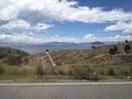 Beautiful view of the famous tourist Lake Titicaca in Bolivia.