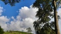 The beautiful view of the farmers& x27; lush crops with green trees and a background of white clouds in the blue sky Royalty Free Stock Photo