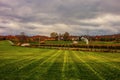 Beautiful view of the field after harvest. Royalty Free Stock Photo