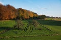 Beautiful view of a field and trees in the background in Plancenoit, Belgium