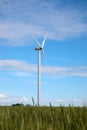 Beautiful view of field with wind turbine. Alternative energy source Royalty Free Stock Photo