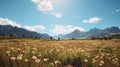 Beautiful View Fields of Daisy Flower with Hills Mountains Background on a Bright Day Royalty Free Stock Photo
