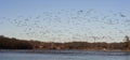 Beautiful view of a flock of Canadian geese soaring over Wyandotte County Lake, USA