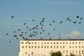 Beautiful view of a flock of A murmuration of starlings in flight over a building in the blue sky Royalty Free Stock Photo