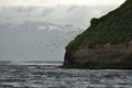 Beautiful view of a flock of puffins flying over the sea near the hill in Iceland Royalty Free Stock Photo