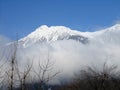 Beautiful View Of Foggy Landscape On a Wet Afternoon In Gulmarg, Jammu And Kashmir, India.