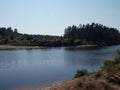 The beautiful view of the forest bank of the river.