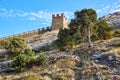 Beautiful view of the fortress on the mountain and growing trees on the slope