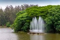 Beautiful view of a fountain on a river against the background of a dense tree