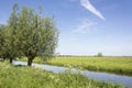 Beautiful view on a fresh polder landscape in the Netherlands in early summer Royalty Free Stock Photo