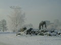 Beautiful view of frozen park in foggy winter Krasnoyarsk, Russia