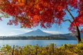 beautiful view of Fuji san mountain with colorful red maple leaves and winter morning fog in autumn season at lake Kawaguchiko Royalty Free Stock Photo