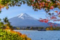 Beautiful view of Fuji san mountain with white cloud and blue sky Royalty Free Stock Photo